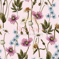 Pink Wildflower