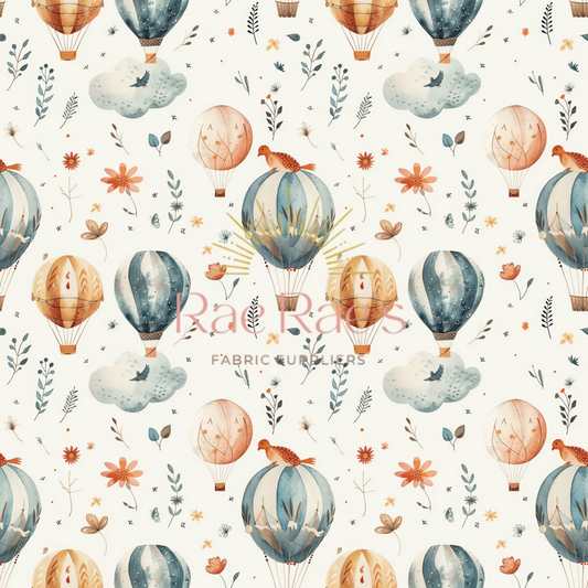 Hot air balloons