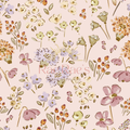Spring Wildflowers