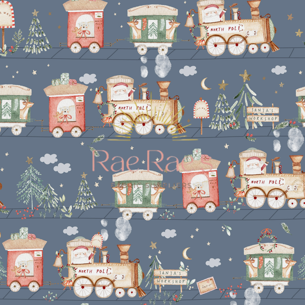 Carriage - Night – Rae-Rae’s
