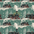Snowy Express