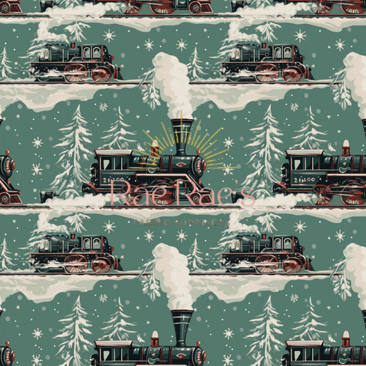 Snowy Express
