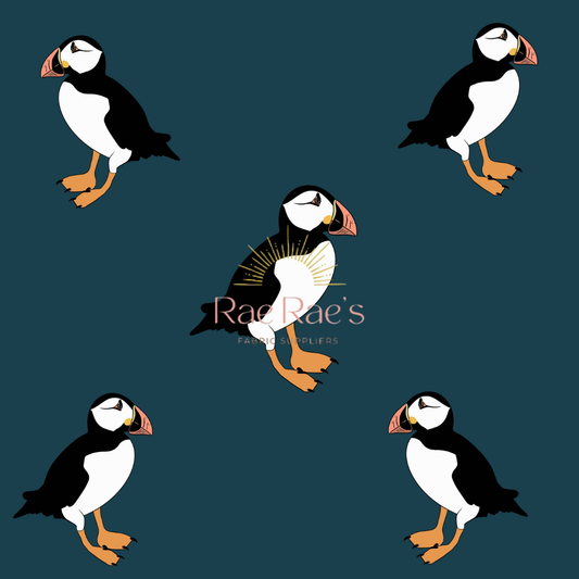 Teal puffins