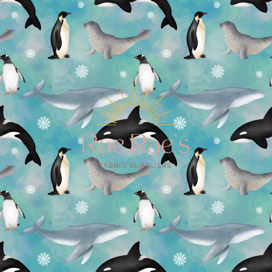 South Pole pals - Exclusive Colourway