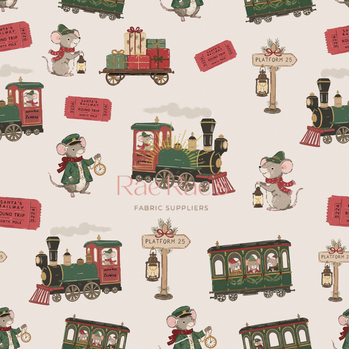 Santas Railway express