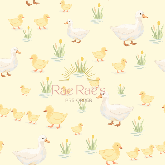 Sweet Ducklings