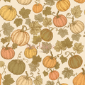 Pumpkin vine - Colour