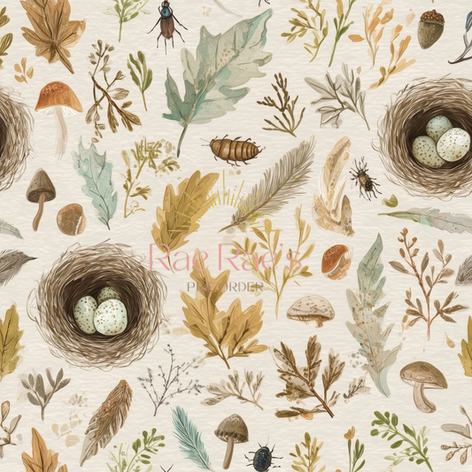 Nest and Feathers